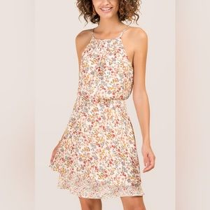 Blue Rain x Francesca’s Malia Ivory Floral Ruffle Spaghetti Strap Dress - Medium